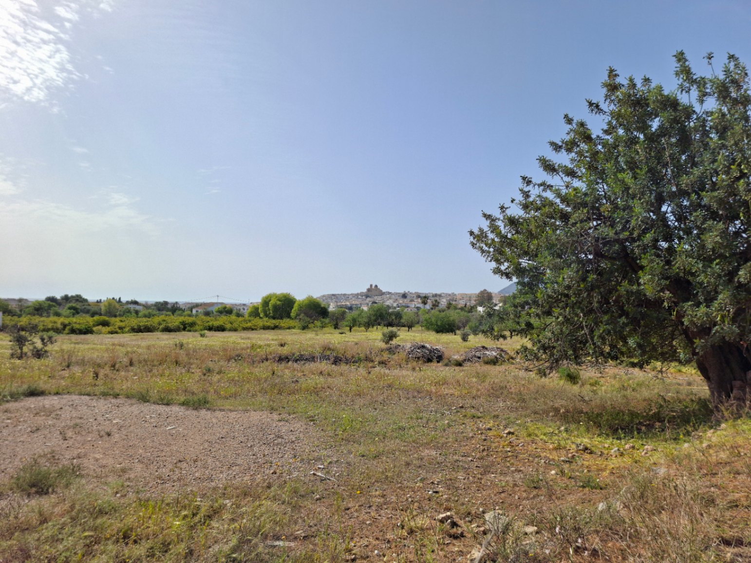Altea